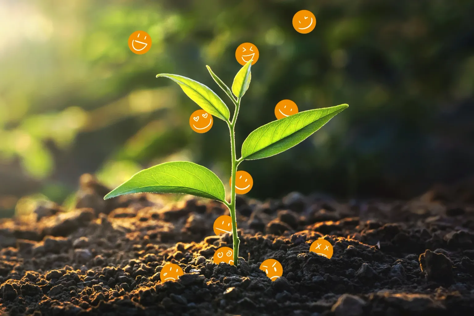 Gemalter Smiley als Symbol für positive Veränderung mit yes2change